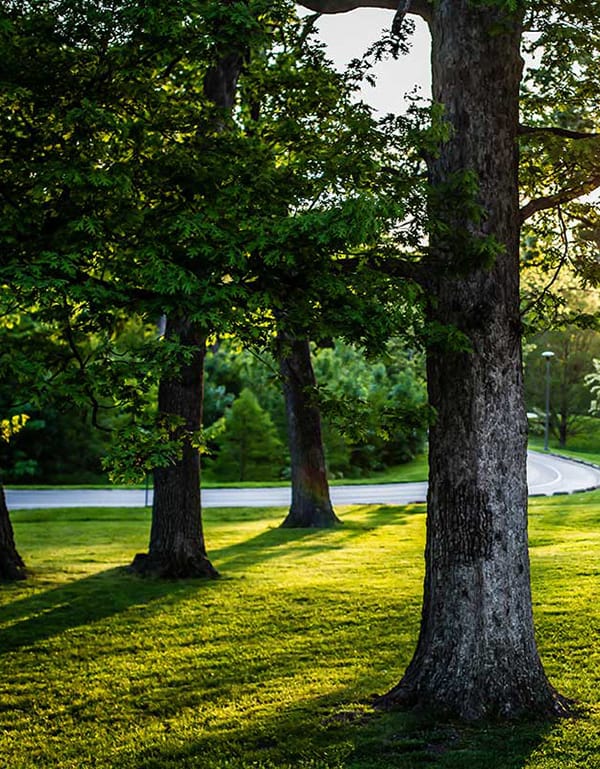 Fairfax Fence in Oakton Virginia